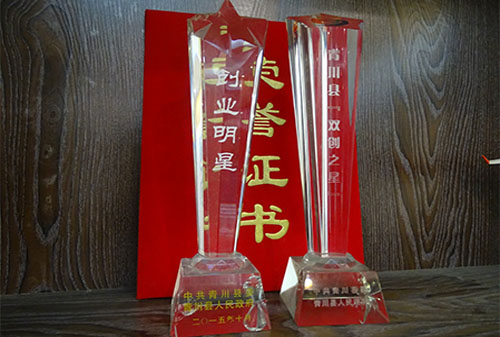 2015年度創(chuàng)業(yè)明星